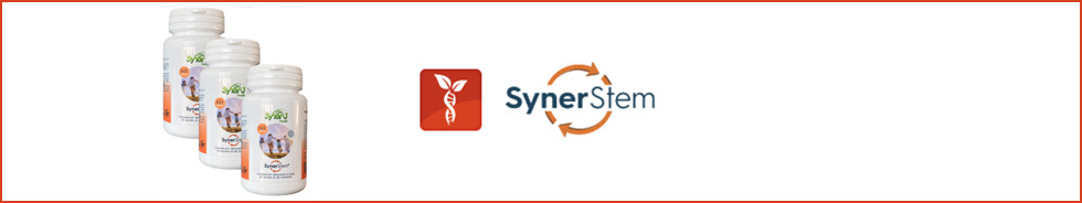 Synerstem - Lot de 3 boîtes - 3 mois de consommation